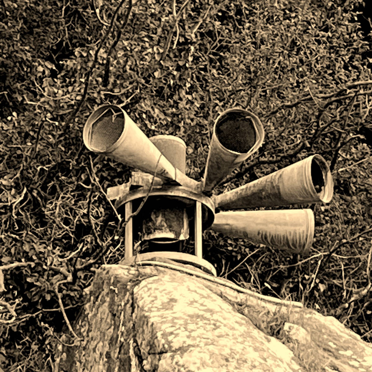 Release No. 2 [e7b06e3e]